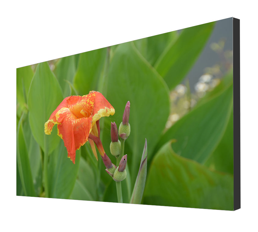 Fultape 55” Flat Zero Bezel Seamless LCD Video wall, 2x2 package
